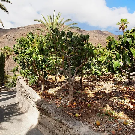 Paraiso Del Molinero Bajo Apartment Mogan